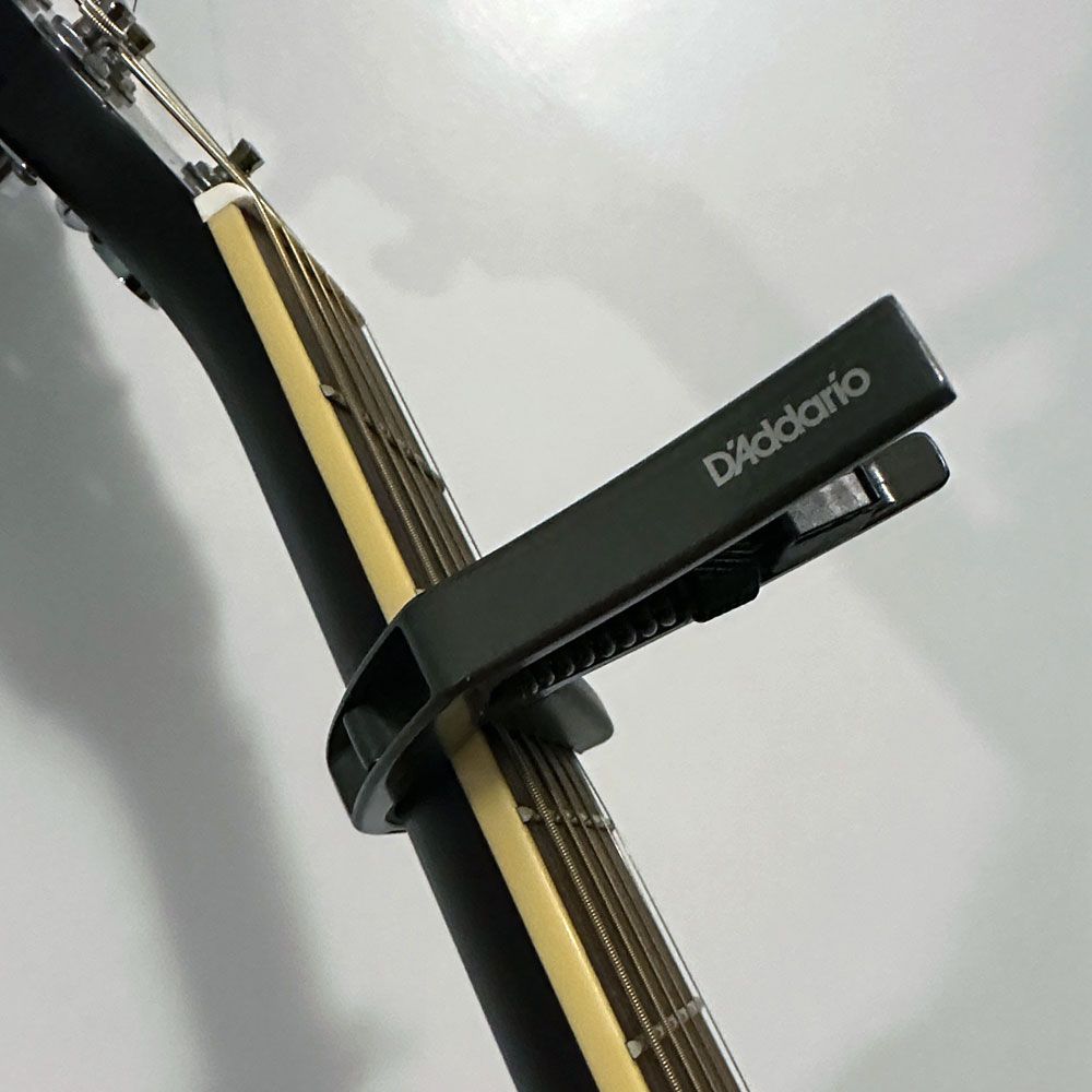 D'Addario Capo