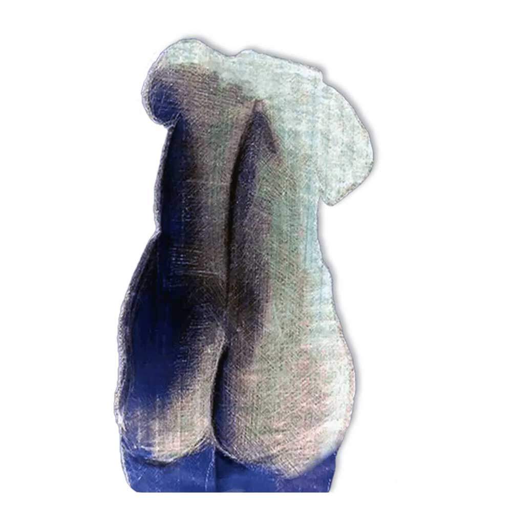 The Woman's Body